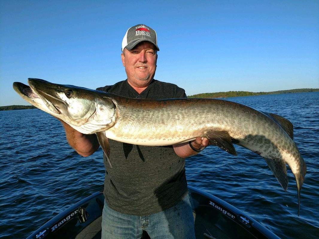 Muskies at the NW Angle - Lake of the Woods Resort on Oak Island